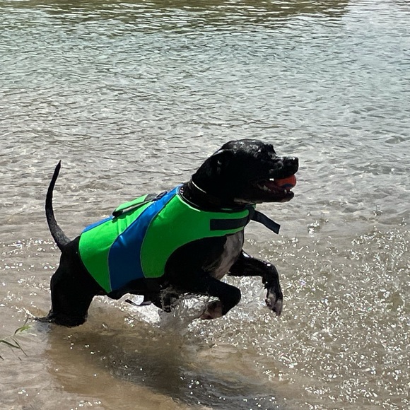 Meet your Posher, Helen Brianna - Picture 17 of 17